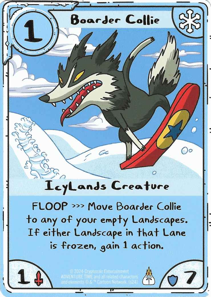 Boarder Collie